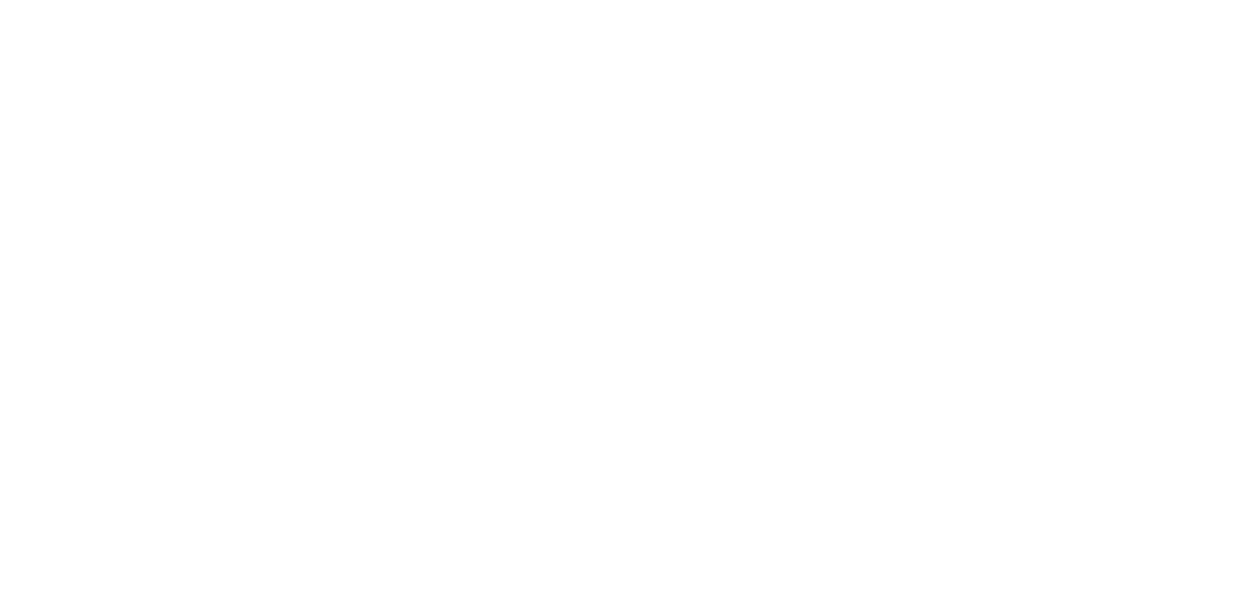 Donner Consulting & IT
